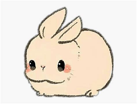 Rabbit Rabit Animal Pet Kawaii Cute Cute Baby Bunny Drawing Hd Png Download Transparent Png