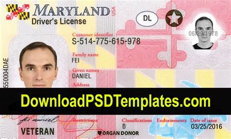 Maryland Driver License Psd Editable Md Template Drivers License