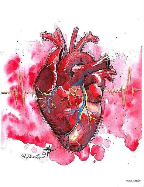 Heart Art By Maramk Redbubble Anatomical Heart Art Human Heart