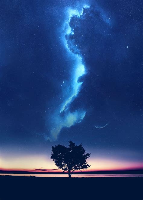 Epic Night Tree Poster By Mcashe Art Displate