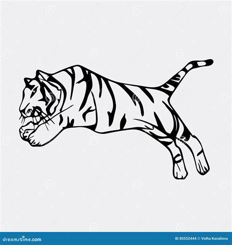 Hand Drawn Pencil Graphics Tiger Head Engraving Stencil Style Stock