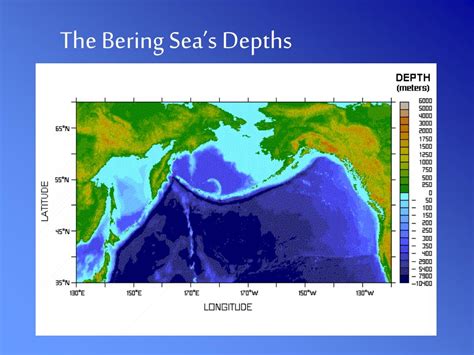 Ppt The Bering Sea Powerpoint Presentation Free Download Id113790