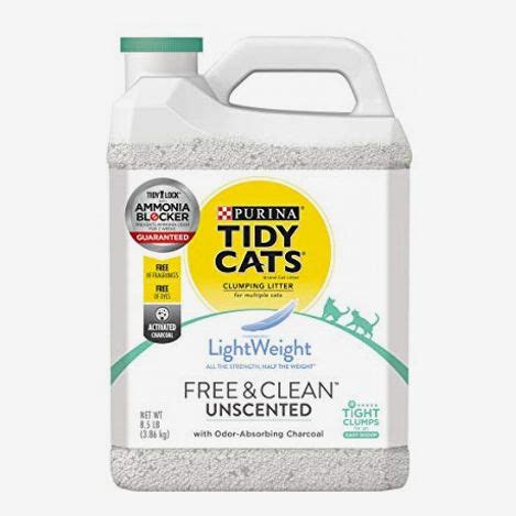 Cats sometimes behave strangely if they are ill or if they are your cat may eat cat litter if he has feline leukemia as well. 9 Best Cat Litter 2021 | The Strategist | New York Magazine