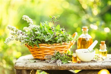 DESCUBRE 100 Plantas Medicinales USOS Y BENEFICIOS