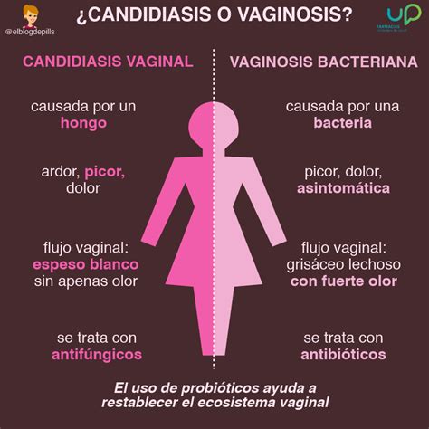 Infecciones Vaginales Candidiasis Y Vaginitis Sintomas Tratamiento The Best Porn Website