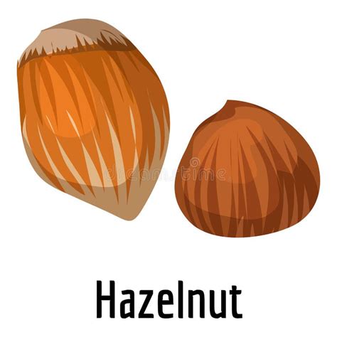 Hazelnut Icon Cartoon Style Stock Vector Illustration Of Healthy