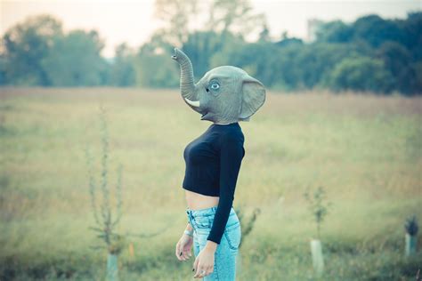 Elephant Woman Ladyclever