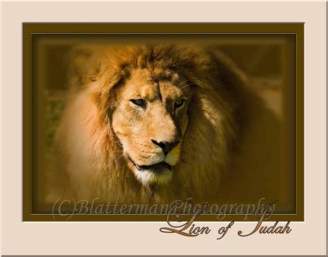 Lion Of Judah Jesus Pinterest