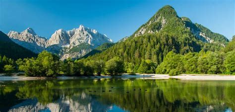 Alpine Region Tourist And Local Information