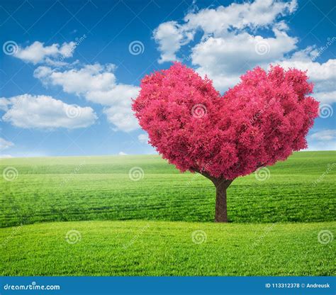 Green Field And Pink Tree In Shape Of Heart Stock Illustration