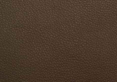 Calf Skin Leather Texture Seamless Fabric Textures Leather Texture