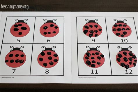 Ladybug Spots Counting Activity