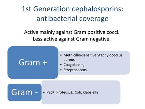 Ppt Pharmacology Of Cephalosporins General Overview Powerpoint