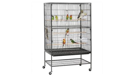 Best Parrot Cage Get A First Rate Home For Your Bird Petsradar