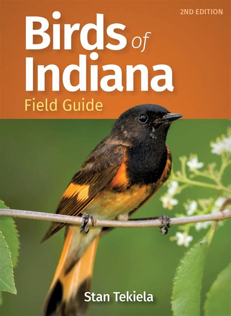 Mua Birds Of Indiana Field Guide Bird Identification Guides Trên