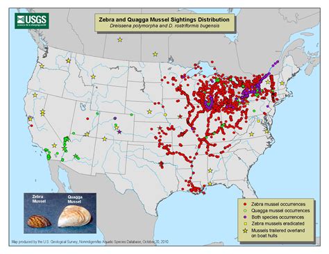 They are found in the savannahs of south and east africa,near ponds and lakes this is because they need to drink a lot of water and they do it frequently. Map of Zebra Mussel Infestation | Lakelubbers
