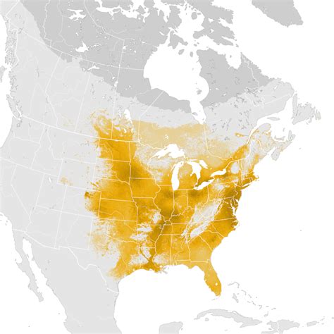 Common Grackle Abundance Map Post Breeding Migration Ebird Status