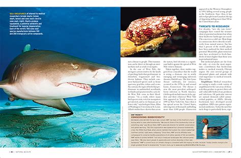 However, both the biodiversity of hantaviruses in nature, as well as the frequency with which they have jumped species barriers in the past, are unclear. A Dose of Diversity