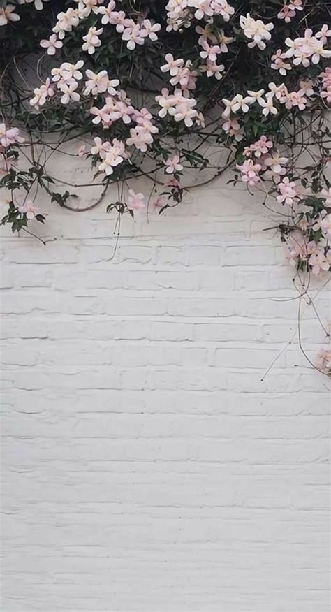 Pink Flowers Growing On The Side Of A White Brick Wall