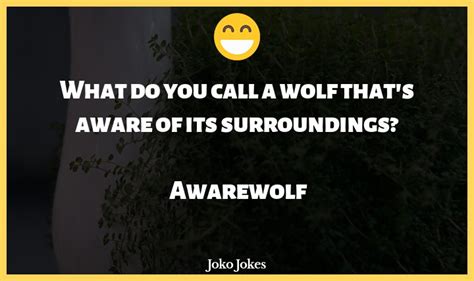 65 Wolf Jokes To Make Fun Jokojokes