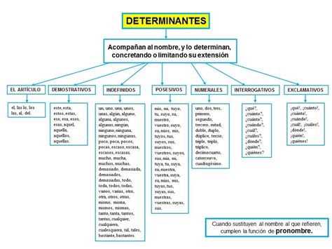 Determinantes El Artículo Lecciones De Gramática Apuntes De Lengua Actividades Para Clase