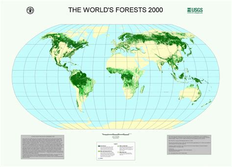 Emergent, upper canopy, understory, and forest floor. Map/Geography - Temperate Forest Vacation