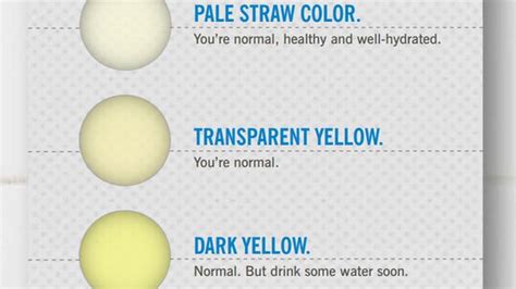 What The Color Of Your Pee Says About Your Health