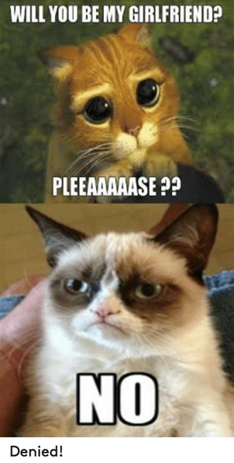 Grumpy Cat Memes Clean For Kids 7 King Tumblr