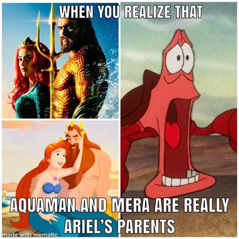 Ariel And Aquaman Disney Memes Funny Disney Memes Disney Funny