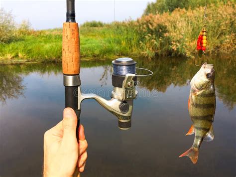 Fishing Rod And A Fish Stock Image Image Of Relaxation 100525039