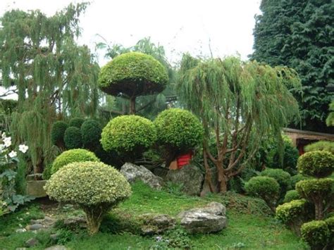 Check spelling or type a new query. 28 Japanese Garden Design Ideas to Style up Your Backyard