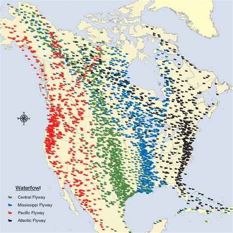 Bird Migration Map North America Vlrengbr