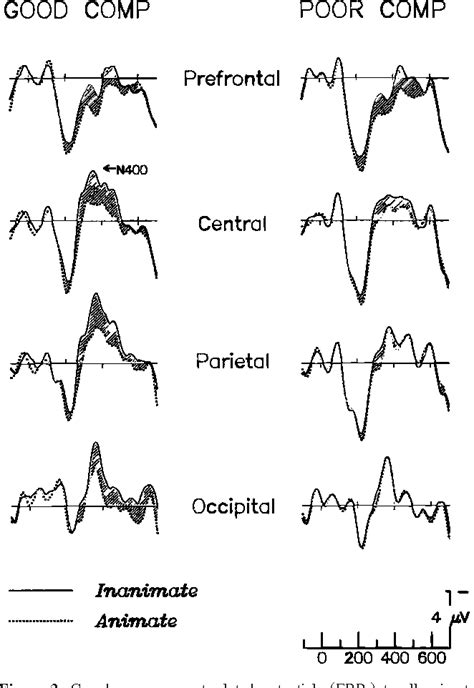 figure 1 from an electrophysiological analysis of animacy effects in the processing of object