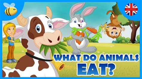Omnivores are a type of diet that eat carcasses, eat berry bushes and plants, and drink water. What do Carnivores, Herbivores and Omnivores Animals Eat ...