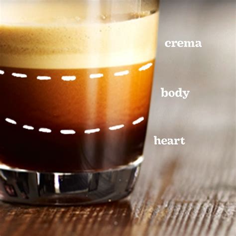 Make these a part of your daily routine without worrying about your budget. The perfect shot... sweet crema, full body and a warm heart | The Art of Espresso | Pinterest