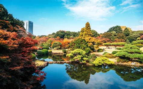 These Are 7 Of The Best Parks To Visit In Tokyo