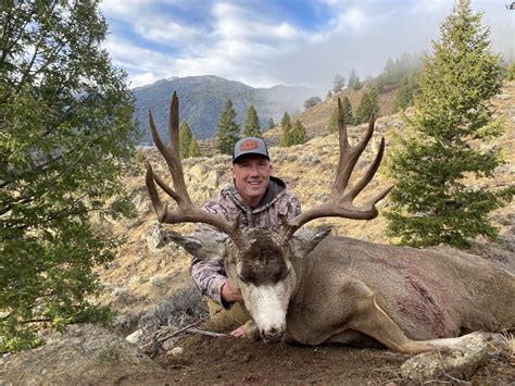 Guided Mule Deer Hunting In Idaho Guaranteed Tags Mile High Outfitters