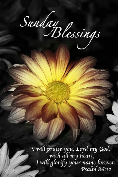 Sunday Blessings Praise The Lord Pictures Photos And Images For