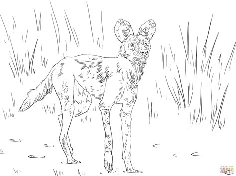 African Wild Dog Or Painted Hunting Dog Coloring Page | Free - Coloring Home