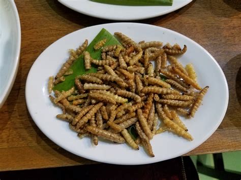 Näytä lisää sivusta 在ミャンマー日本国大使館/embassy of japan in myanmar facebookissa. 太郎の部屋 虫料理を食べられるミャンマー料理店