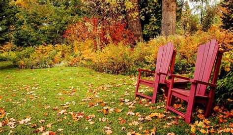 To maintain a lawn in the fall, keep the leaves raked of the yard, maintain a watering schedule, use a fall fertilizer, and mow the grass once or twice. Fall Lawn Care Tips in Preparation for Winter