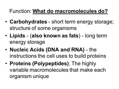 Which Macromolecule Is Used For Long Term Energy Storage Alexander