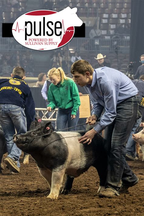 Oklahoma Youth Expo Market Hogs The Pulse