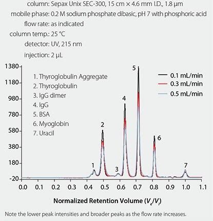 Analytical Size Exclusion Chromatography Columns For Biomolecule