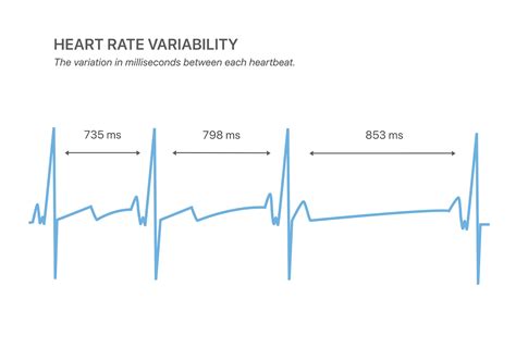 What Factors Influence Your Heart Rate Variability Lief Blog
