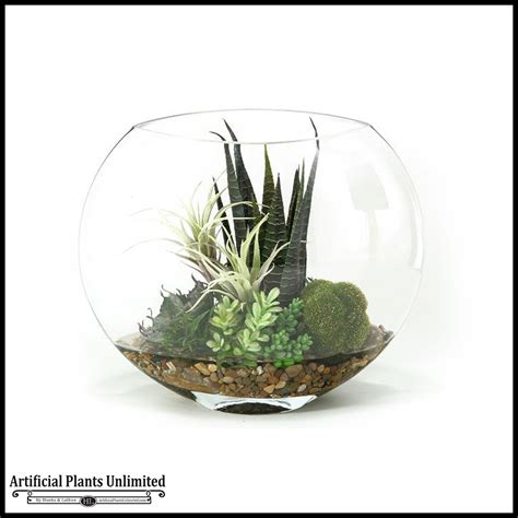 Planted goldfish tanks sure are gorgeous. 14in. Mixed Succulents and Agave in Glass Bowl