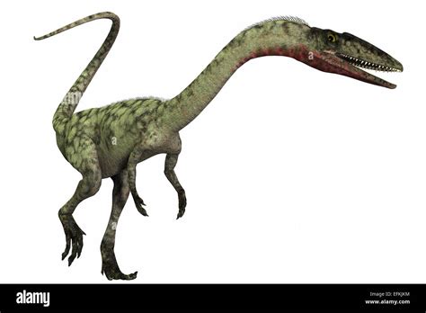 Coelophysis Was A Bipedal Predatory Dinosaur That Lived During The