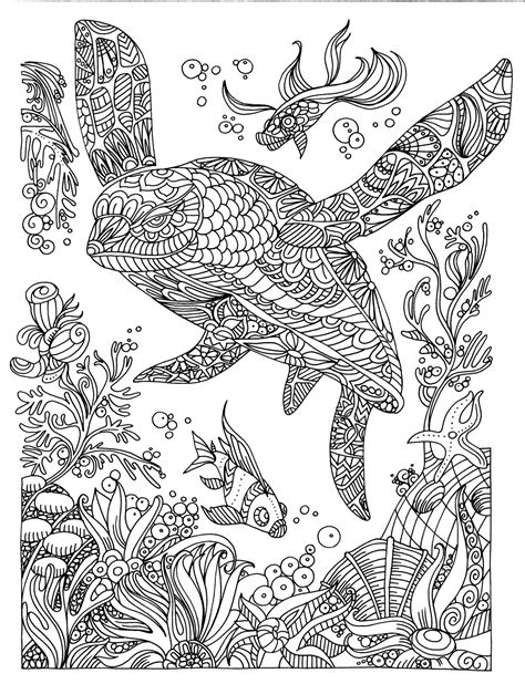 Turtle Illustration Colouring Page Mandalas Zentangle Relaxing