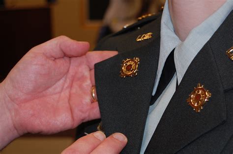 Logistics Officers Don New Branch Insignia Article The United