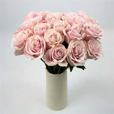 Wholesale Pink Mondial Rose ᐉ Bulk Pink Mondial Rose Online In Fiftyflowers